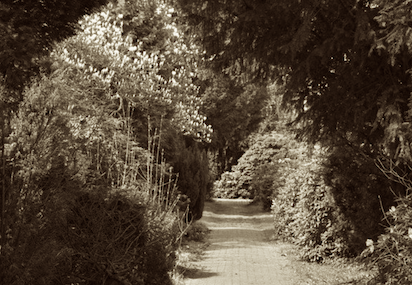 friedhof klein