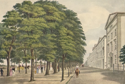 palmagile hansen